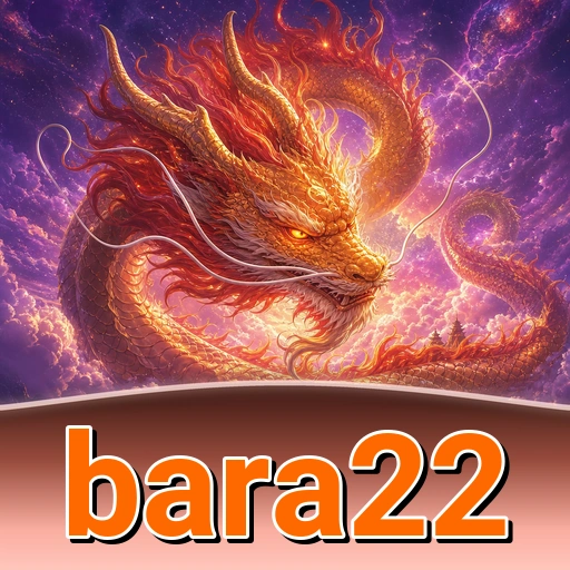 Halaman profil bara22